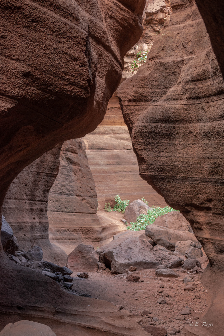 Barranco de las vacas. Gran Canaria