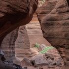 Barranco de las vacas. Gran Canaria