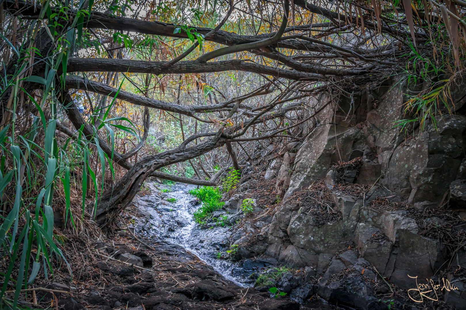 Barranco de los Cernícalos