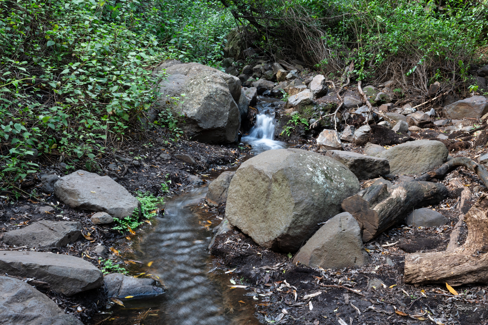 Barranco de los cernícalos