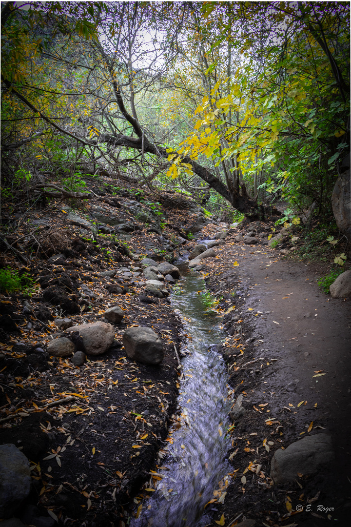 Barranco de los Cernícalos1