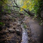 Barranco de los Cernícalos1