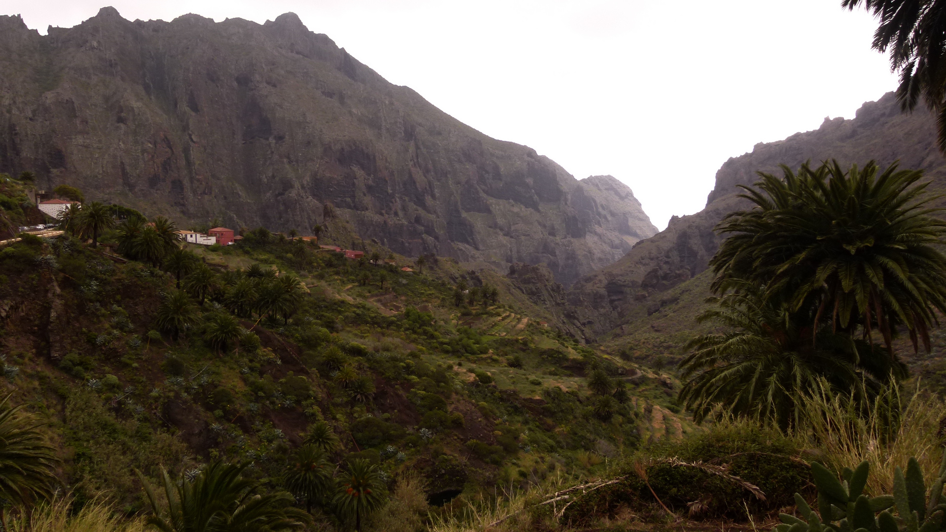 Barranco de Masca