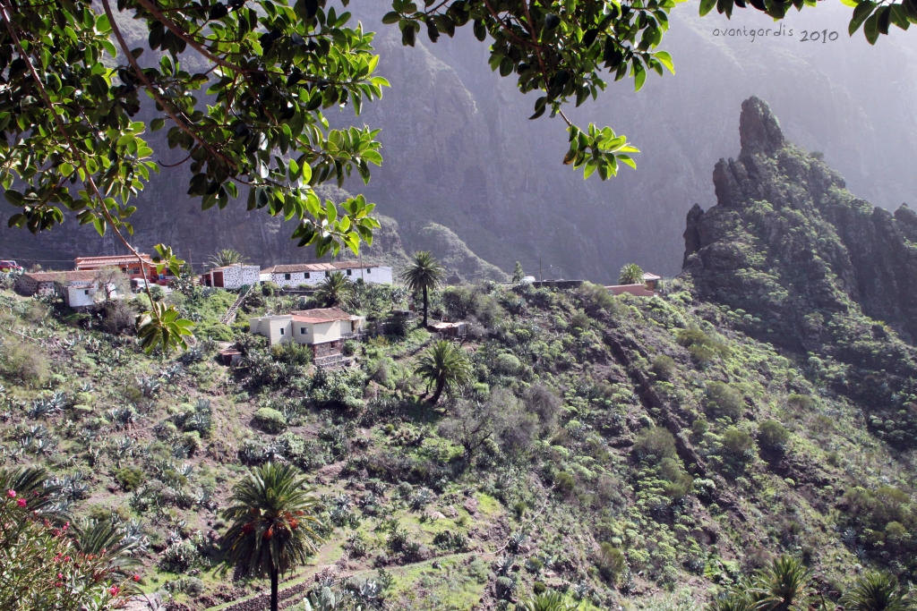 Barranco de Masca