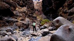 Barranco de Masca