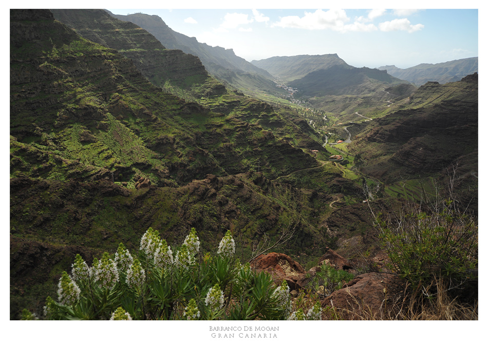 Barranco de Mogan, Gran Canaria