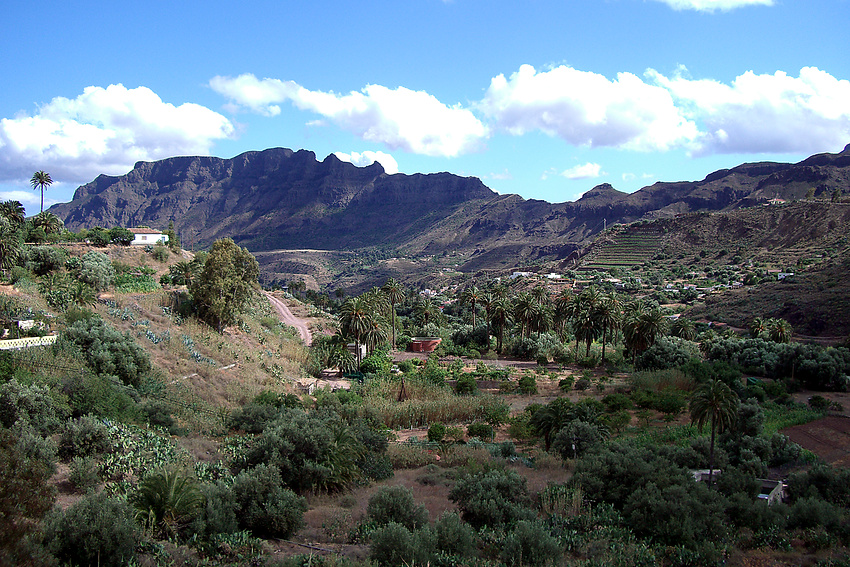 Barranco de Tejeda