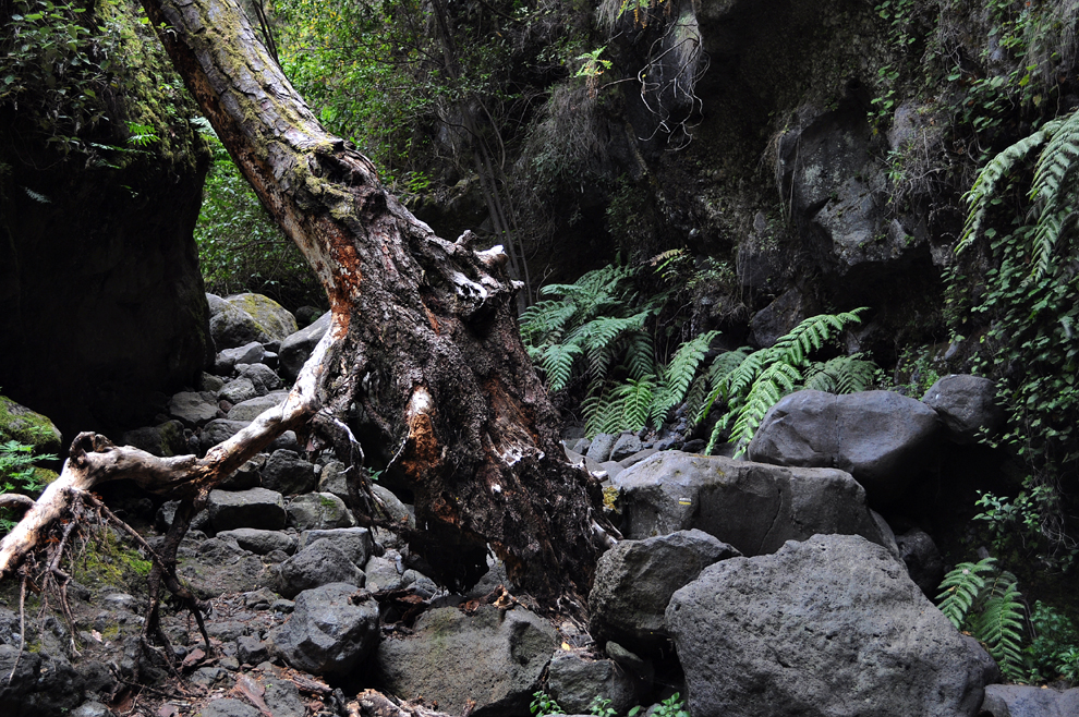 Barranco del Agua