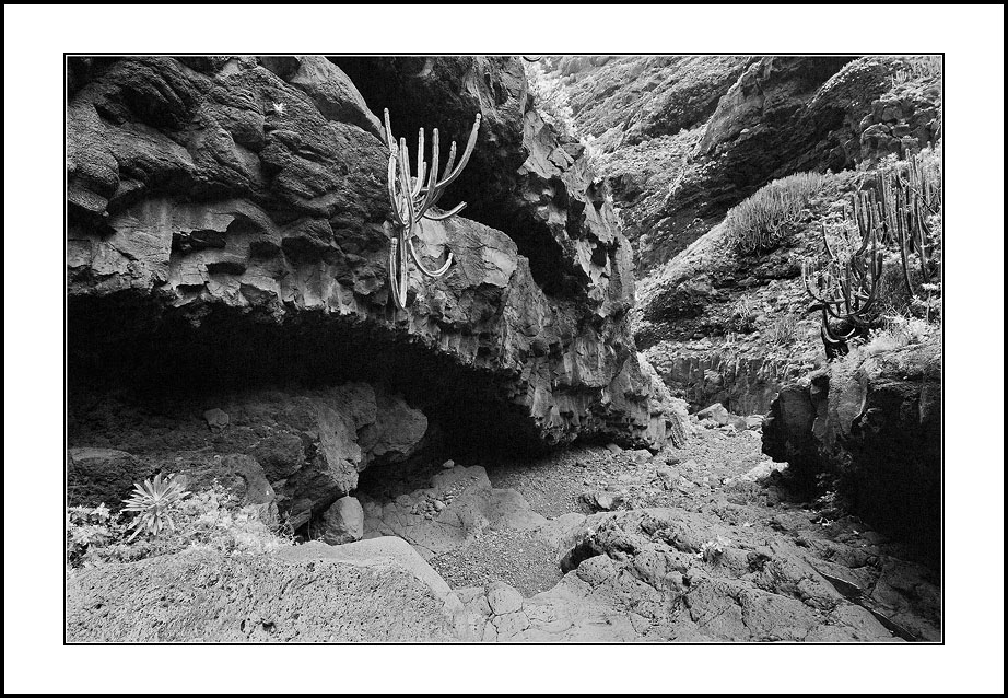 . barranco del fagundo . I