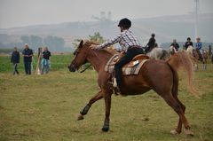 Barrel Race