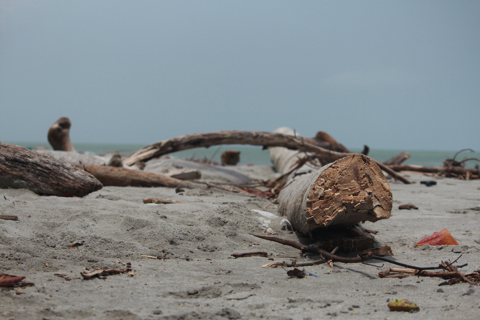 Barreras en la playa