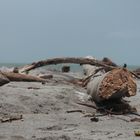 Barreras en la playa