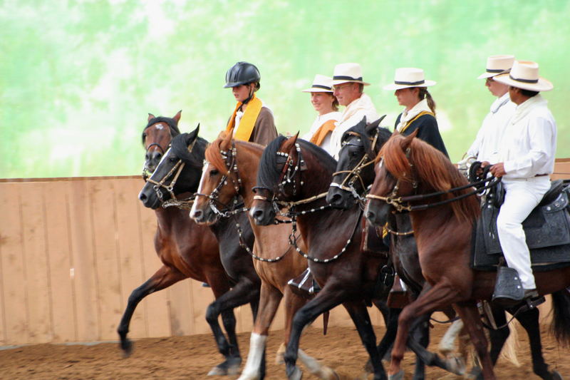 "Barrida".....bei der Ehrenrunde auf dem Paso Peruano Turnier in Bünde bei Herford