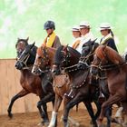 "Barrida".....bei der Ehrenrunde auf dem Paso Peruano Turnier in Bünde bei Herford