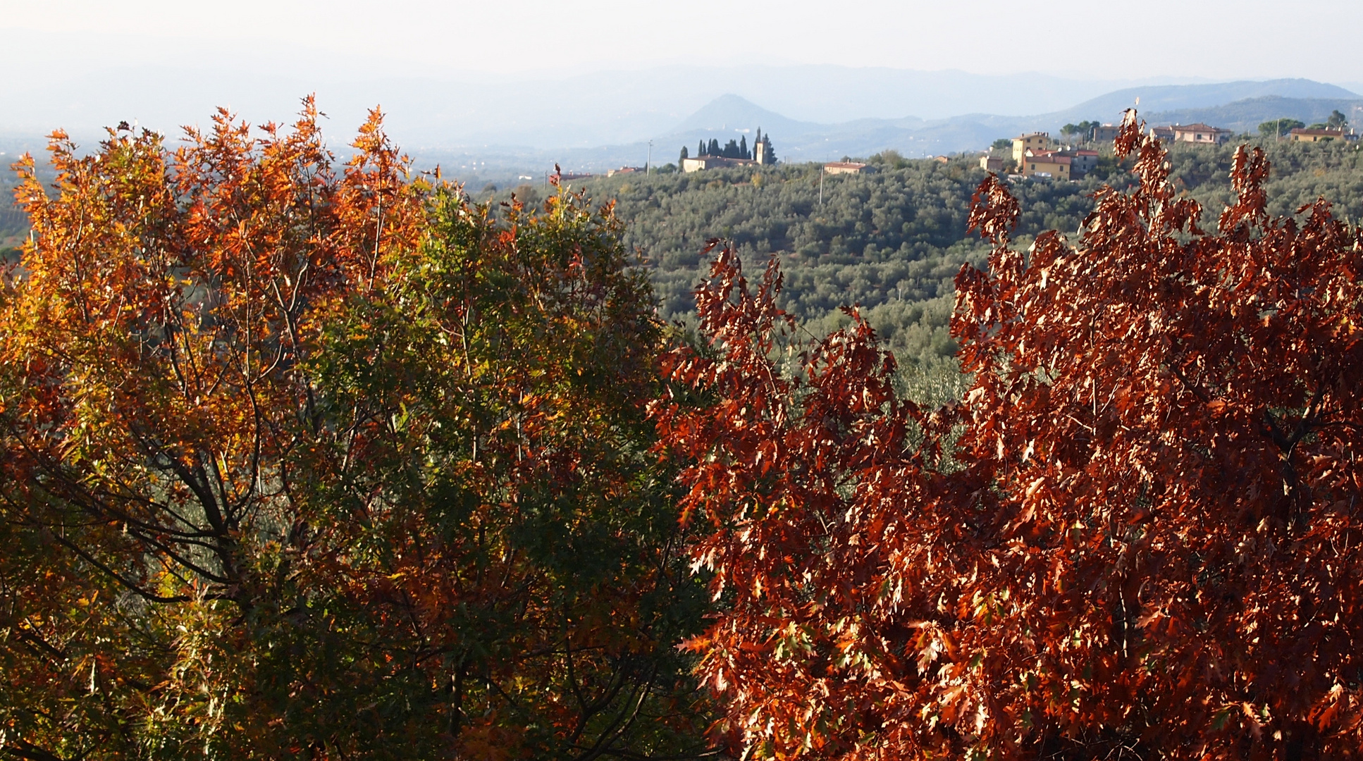 barrière d automne