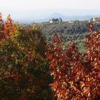 barrière d automne