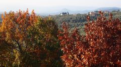 barrière d automne