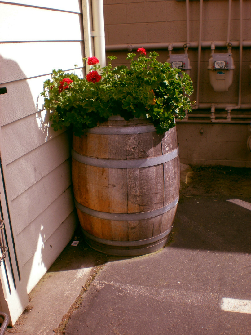 Barril con flores