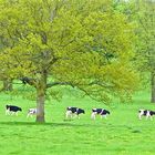 Barrington Court Somerset England