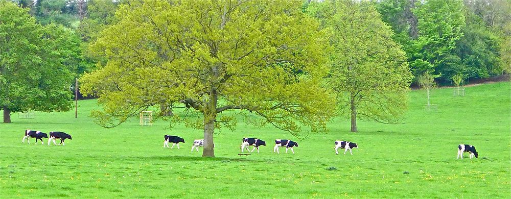 Barrington Court Somerset England