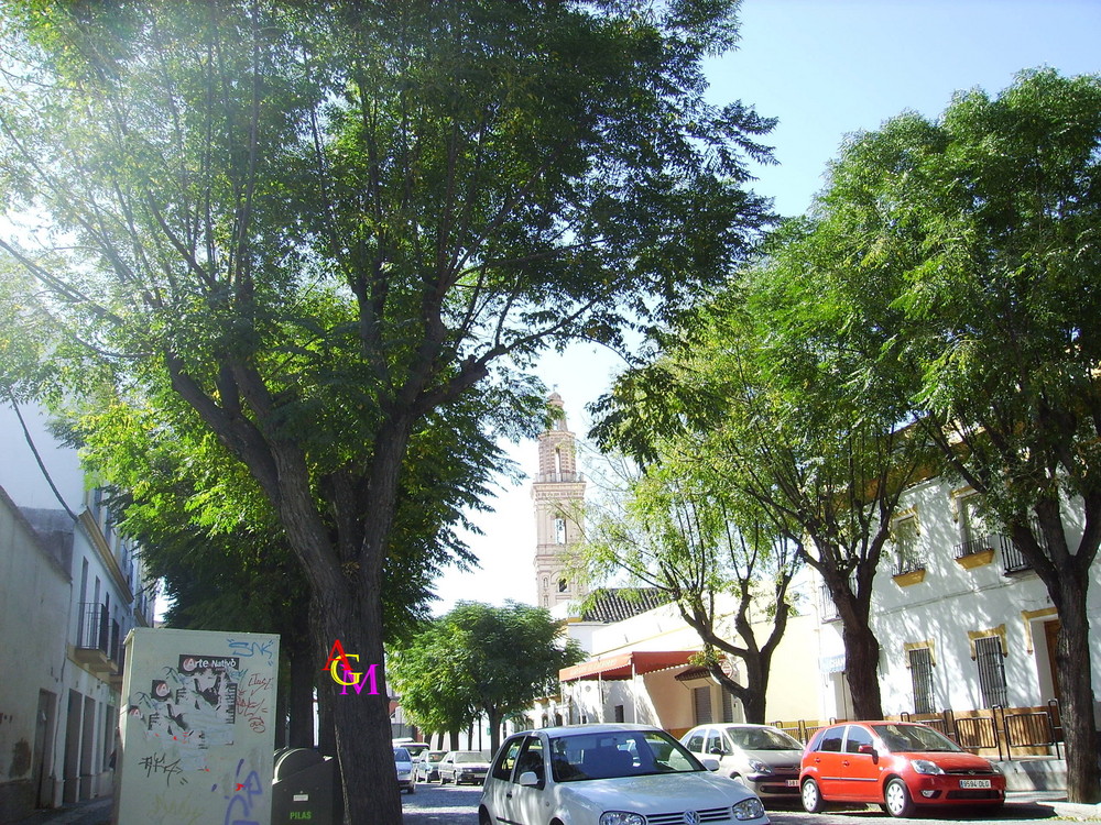 barrio del cachorro Ecija Sevilla