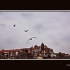 Barrio viejo de Oporto 3