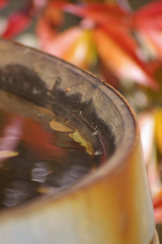 Barrique de vin aux couleurs d'automne