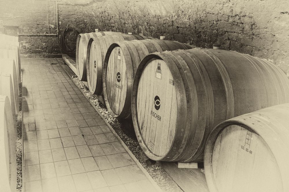 Barriques  (altes Foto, vergilbt)