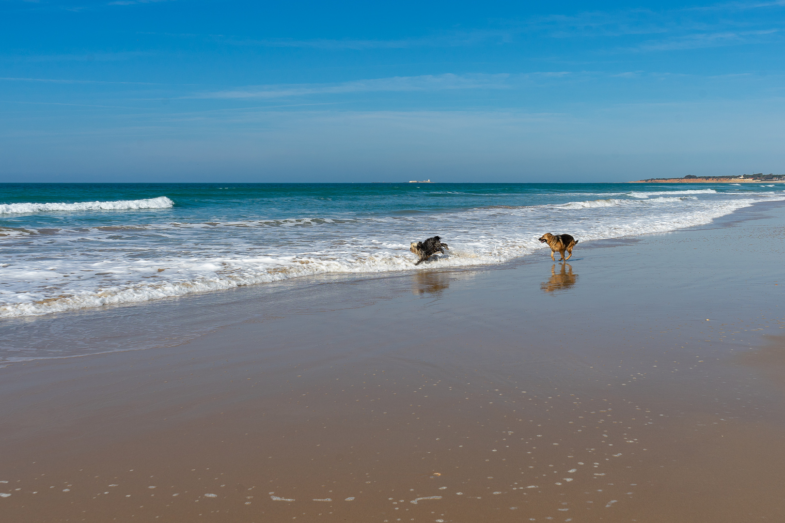 Barrossa playa