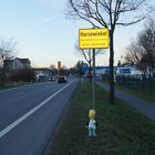 Bart Simpson besucht Harsewinkel