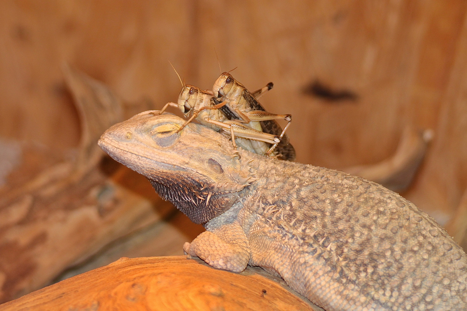 BARTAGAME - hier findet sie uns nicht!