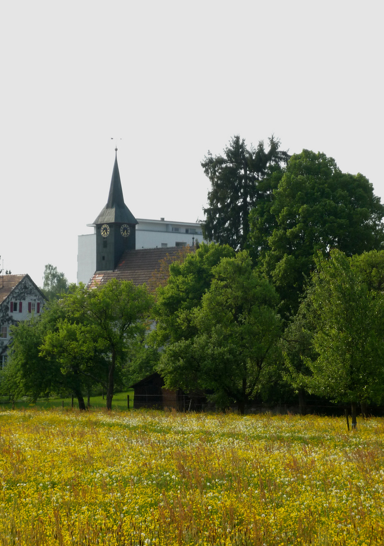 Bartenbach im Mai