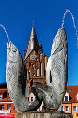 BARTH. BLICK ÜBER BRUNNEN AUF St. MARIEN.