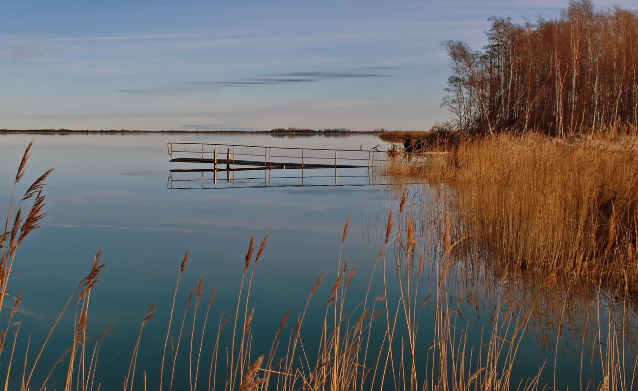 Barther Bodden