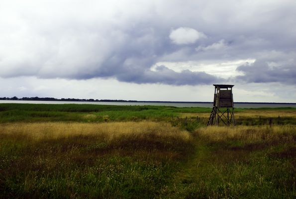 Barther Bodden bei Bliesenrade