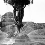 Bartholdi Fountain and Botanic Garden