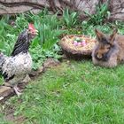 Bartkaninchen 06: Ostern