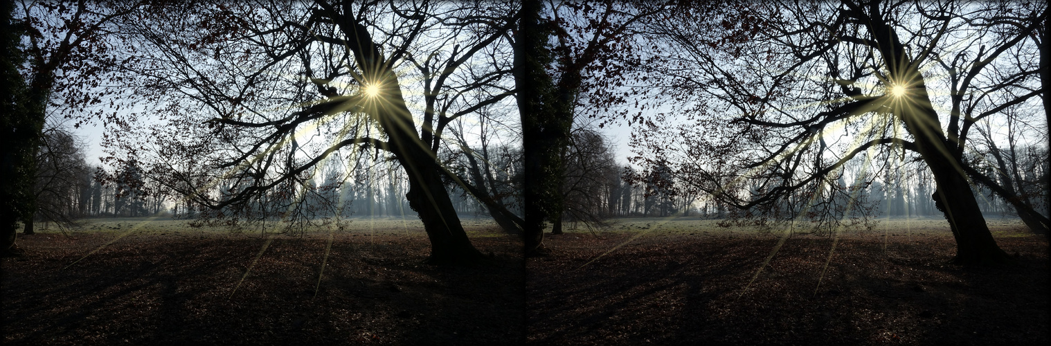  BARUTH Stadtpark Lichtblick