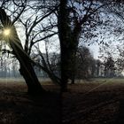  BARUTH Stadtpark Lichtblick