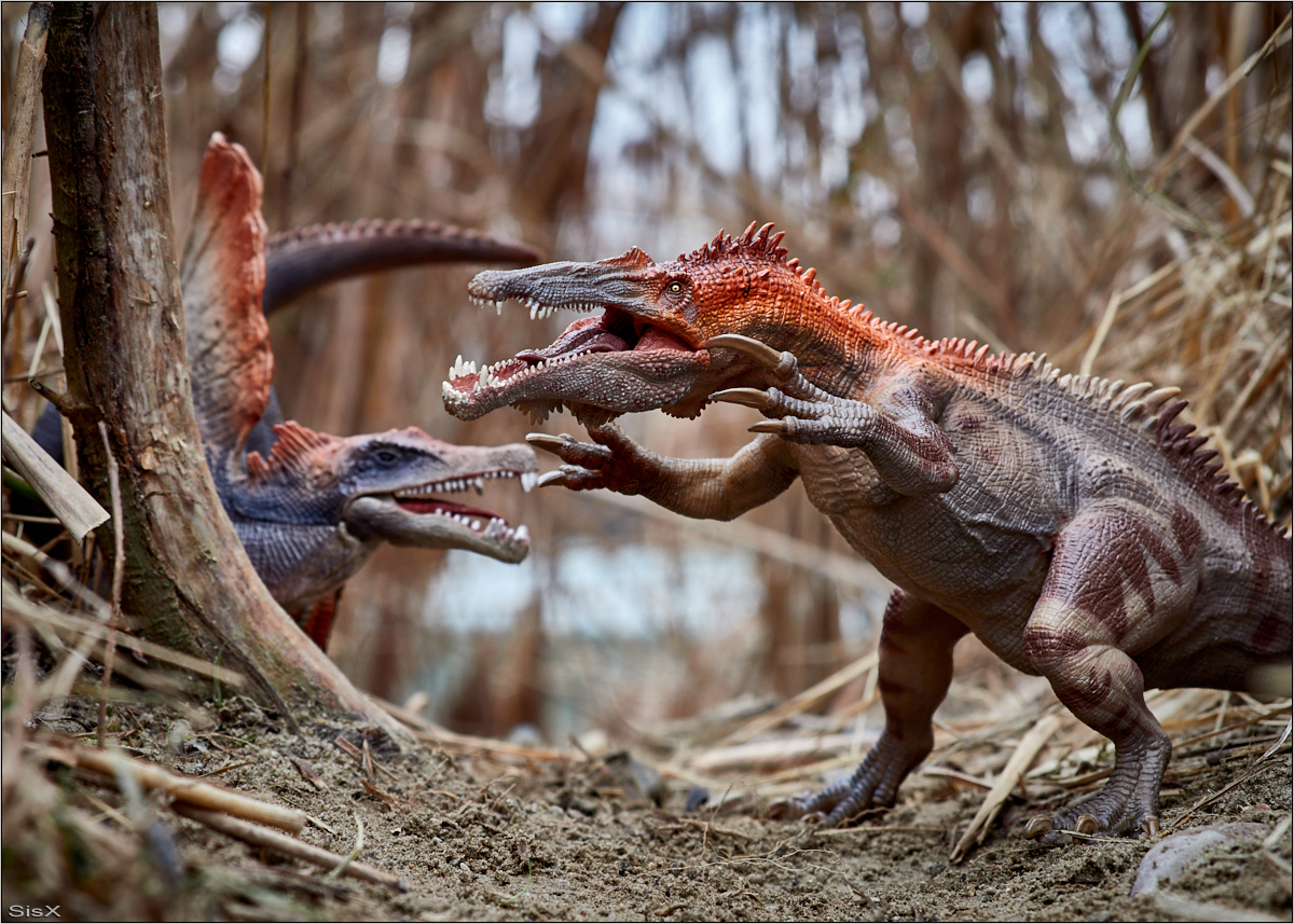 Baryonyx und Spinosaurus