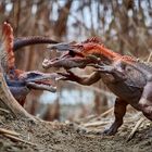 Baryonyx und Spinosaurus