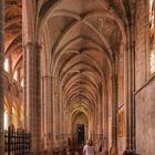 Bas-côté nord  -  Cathédrale Saint-Jean-Baptiste