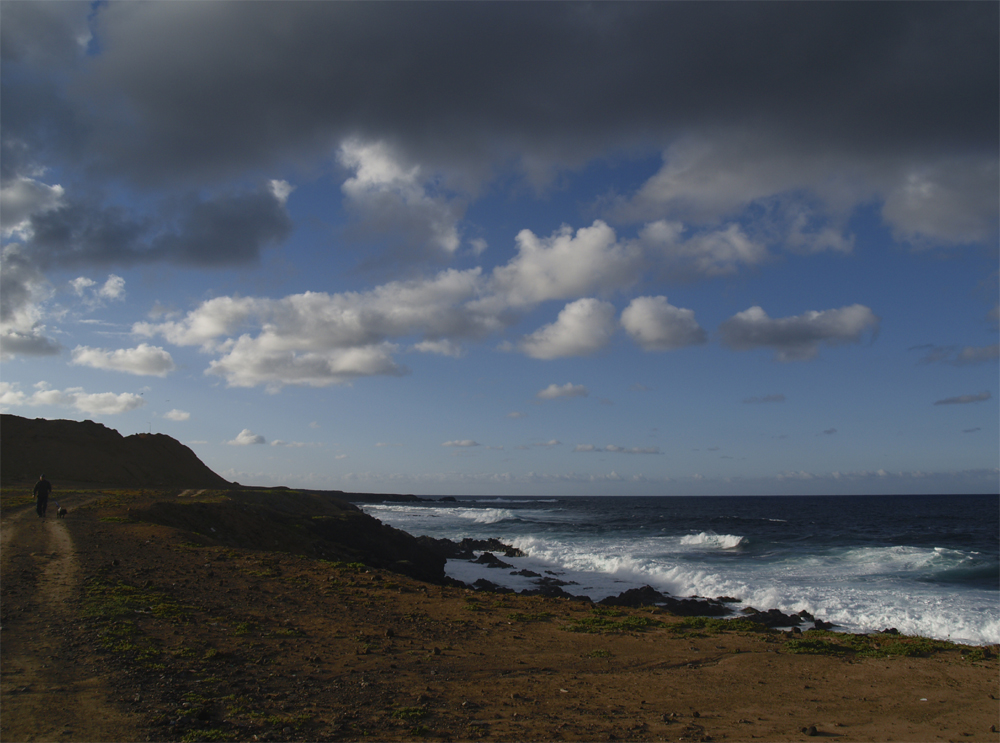 Basalt coast near Los Silos