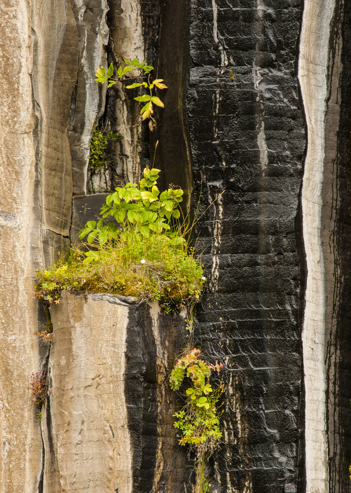 Basalt, Wasser und etwas Licht ...