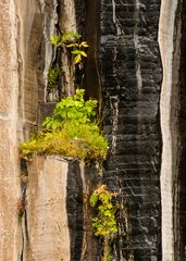 Basalt, Wasser und etwas Licht ...