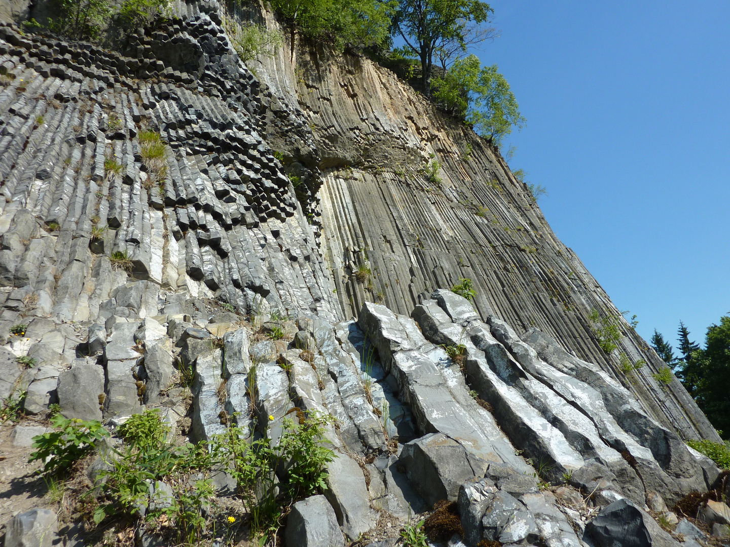 Basaltfelsen am Goldberg bei Böhmische Kamnitz.