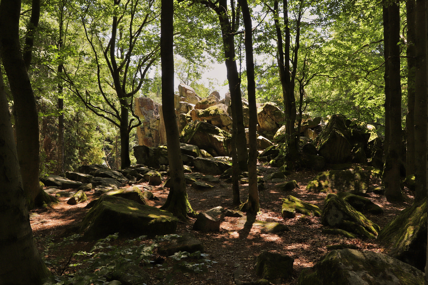 Basaltfelsen im Wald (2019_06_29_EOS 6D Mark II_4561_ji)