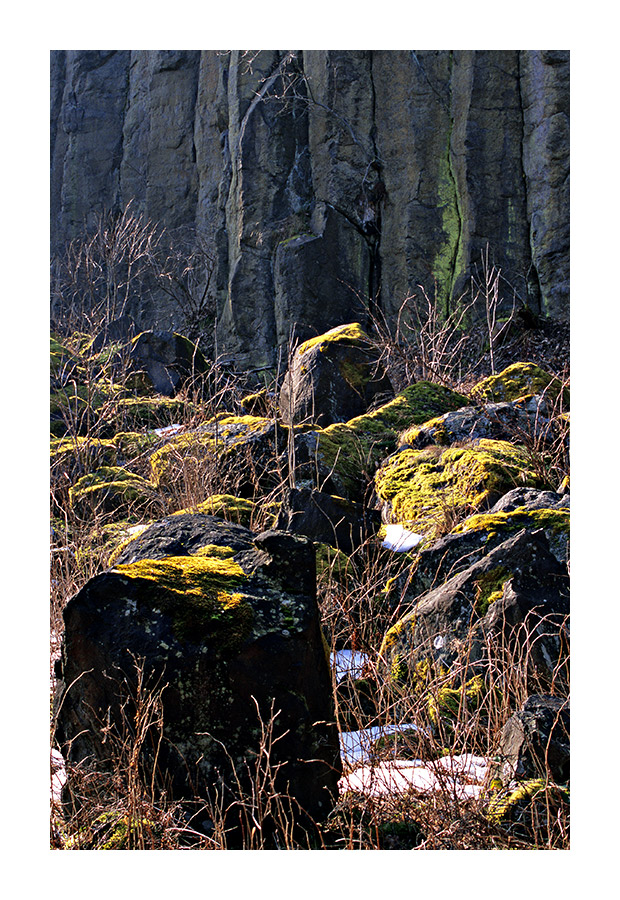 Basaltformation am Scheibenberg