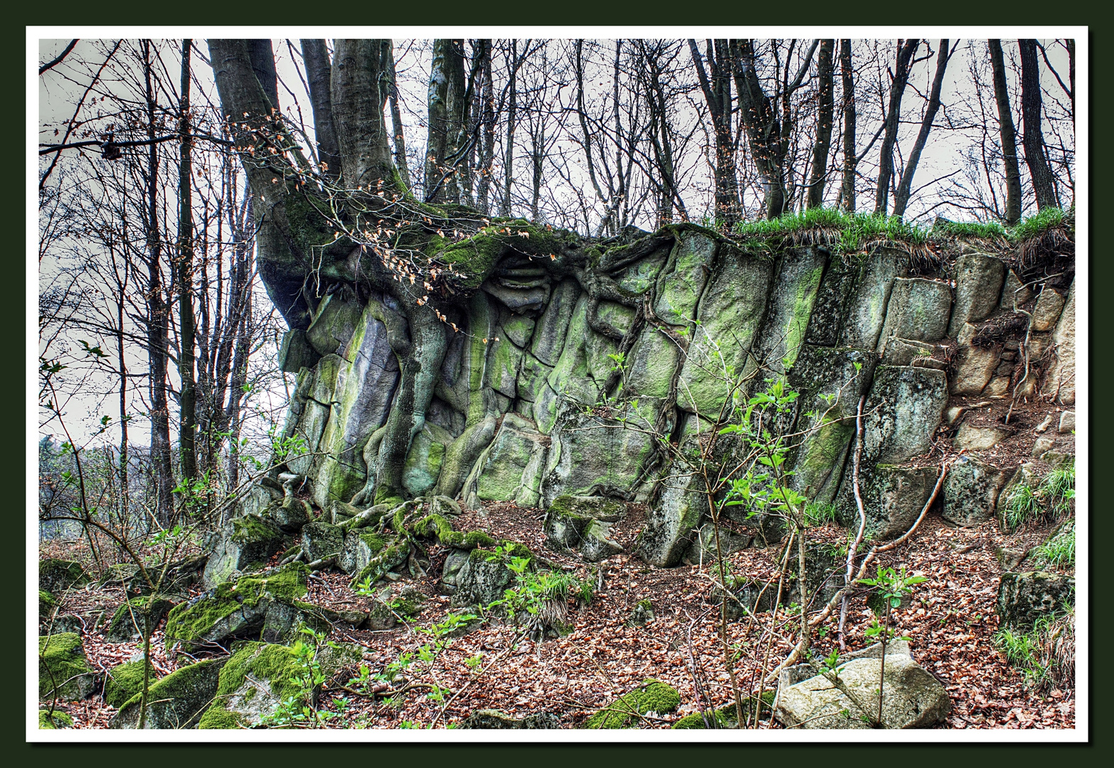 Basaltkrater "Blauer Stein" in Kuchhausen