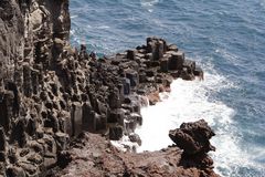 Basaltlava im Meer / Jusangjeoli ( Jisake ) auf Jeju-do